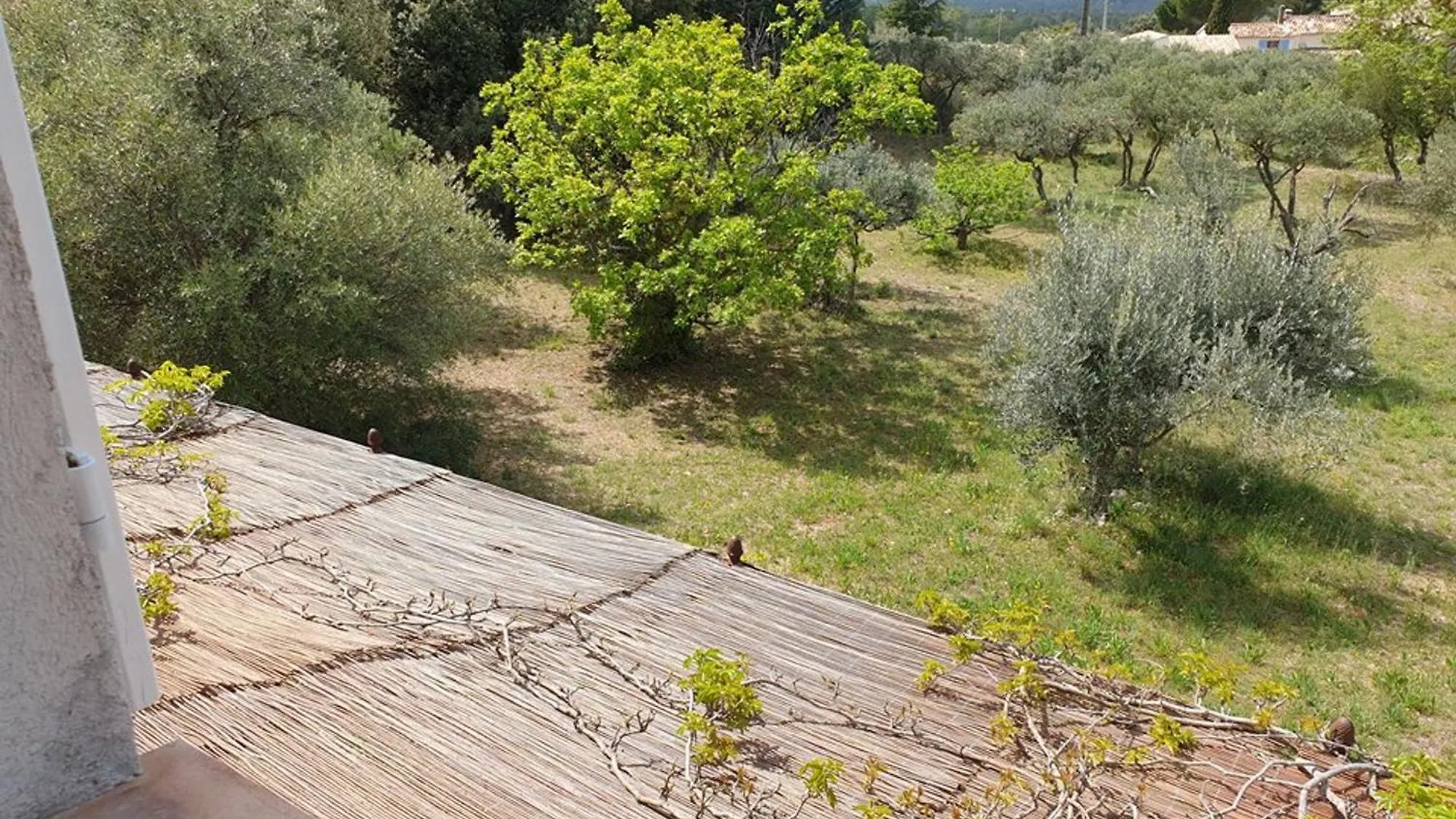 Superbe Villa Entouree D'Oliviers Proche Du Village D'Aups - Fr-1-822-7 0*, Aups
